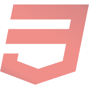 css3 logo